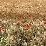 In Near War Museum * Overloon