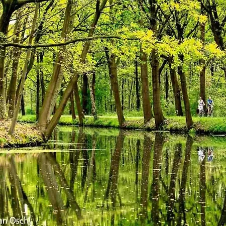 Villa In Near War Museum