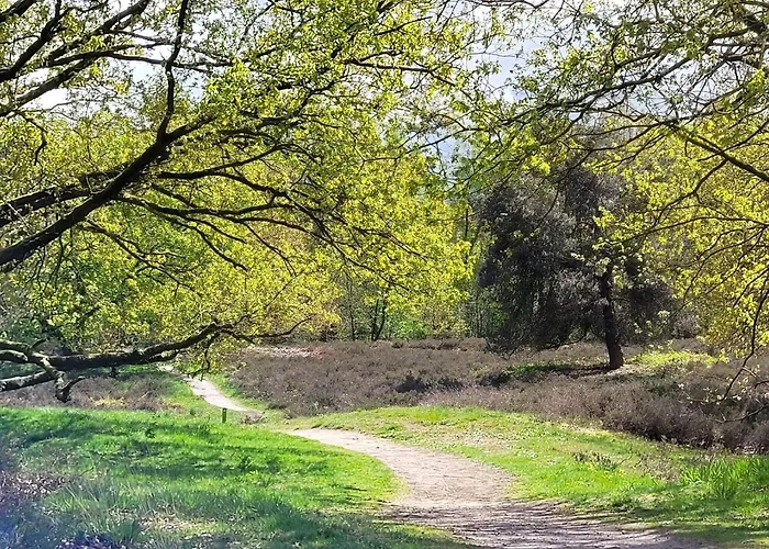 In Near War Museum Villa *