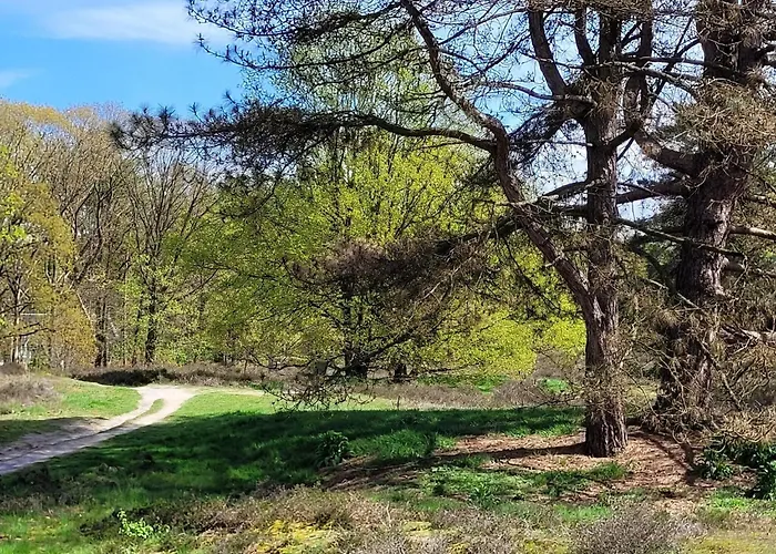Villa In Near War Museum