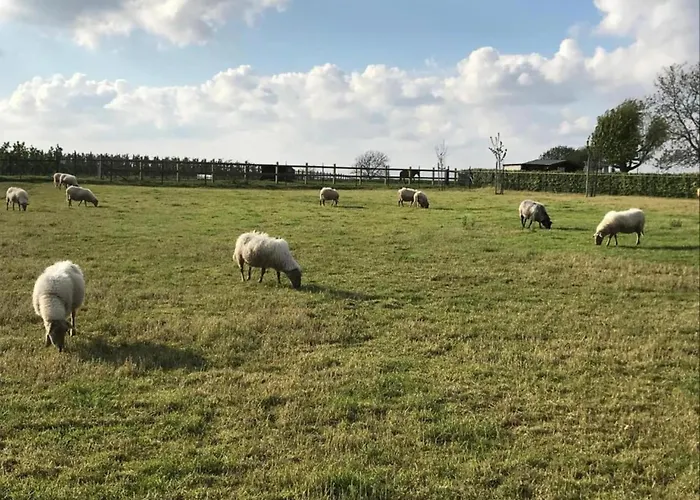 In Near War Museum Overloon