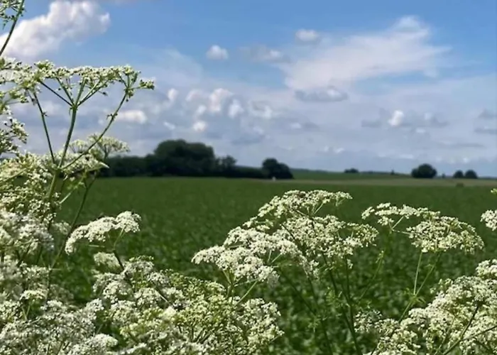 Villa In Near War Museum