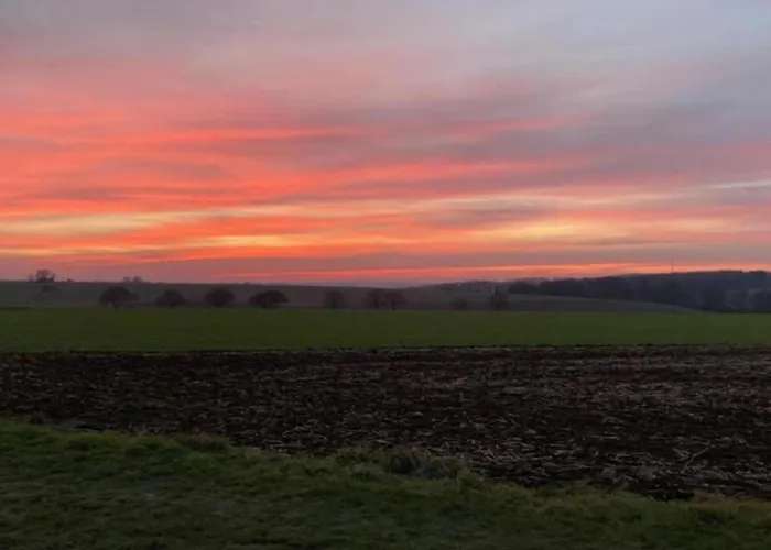 In Near War Museum Villa *