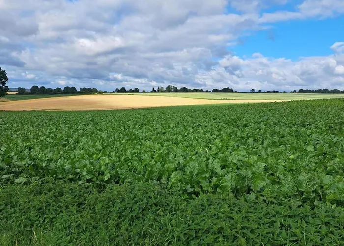 In Near War Museum Overloon