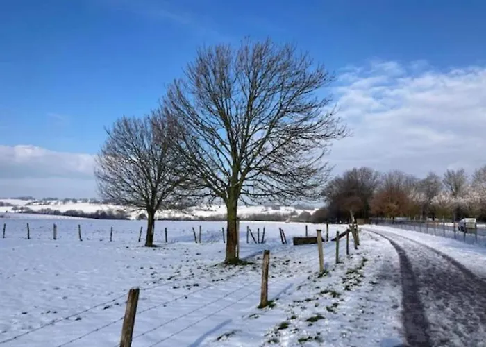 In Near War Museum Villa Overloon