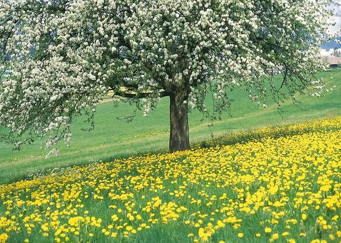 Villa In Near War Museum *