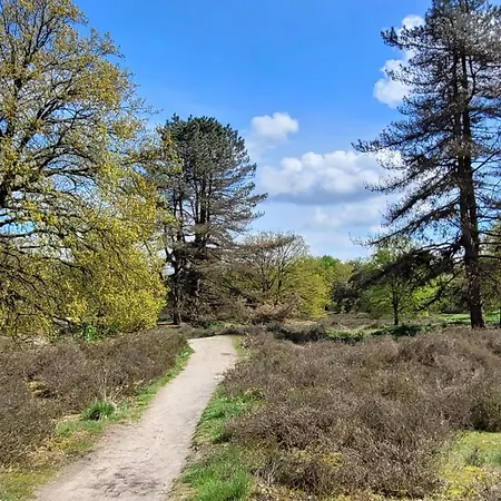 In Near War Museum 别墅 Overloon