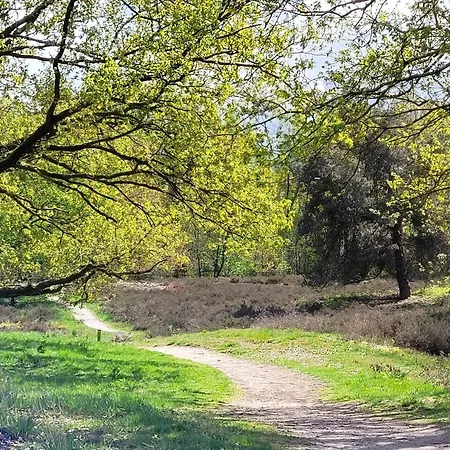 In Near War Museum 别墅 *