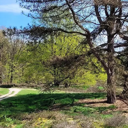 别墅 In Near War Museum