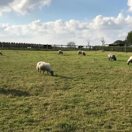In Near War Museum Overloon