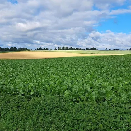 In Near War Museum Overloon
