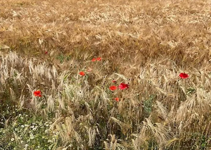 ヴィラ In Near War Museum *